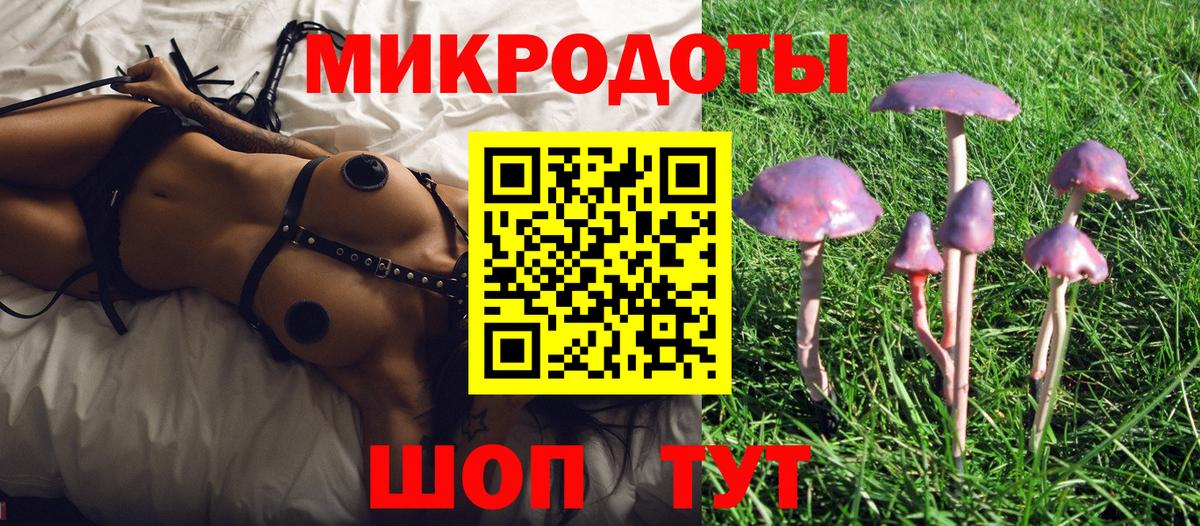 Галлюциногенные грибы Psilocybe Елизово