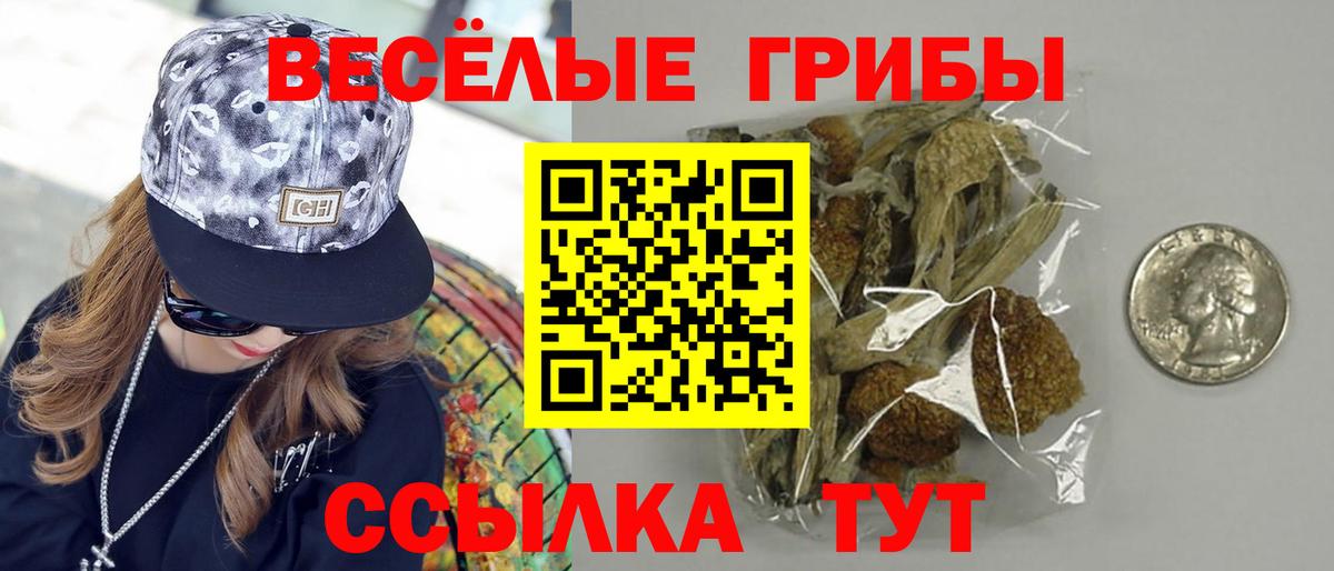 Елизово  Псилоцибиновые грибы Psilocybe  Вход с VPN  Галлюциногенные грибы ЛСД 